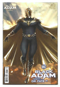 Black Adam - The Justice Society Files: Dr. Fate #1